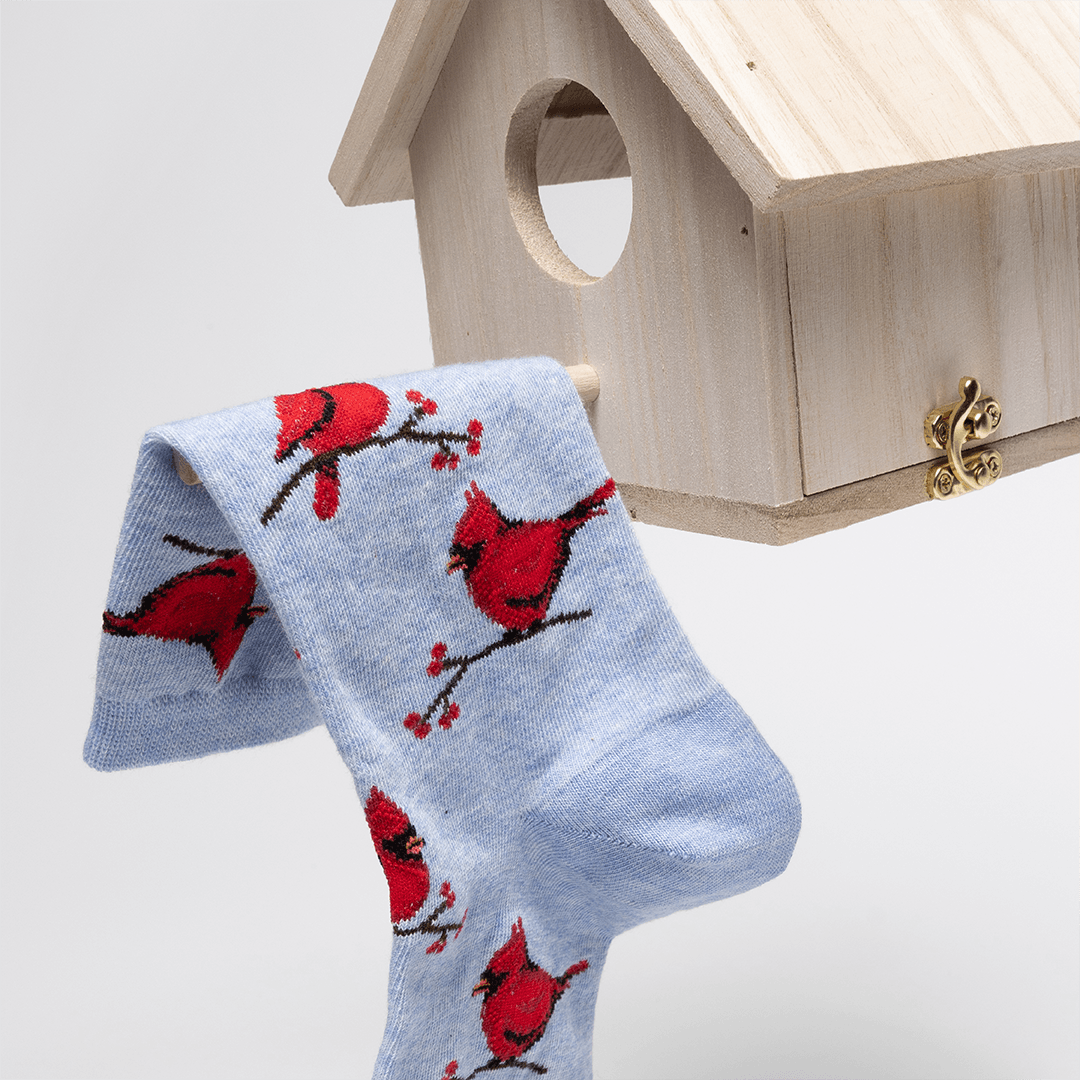Novelty, Animals, Birds