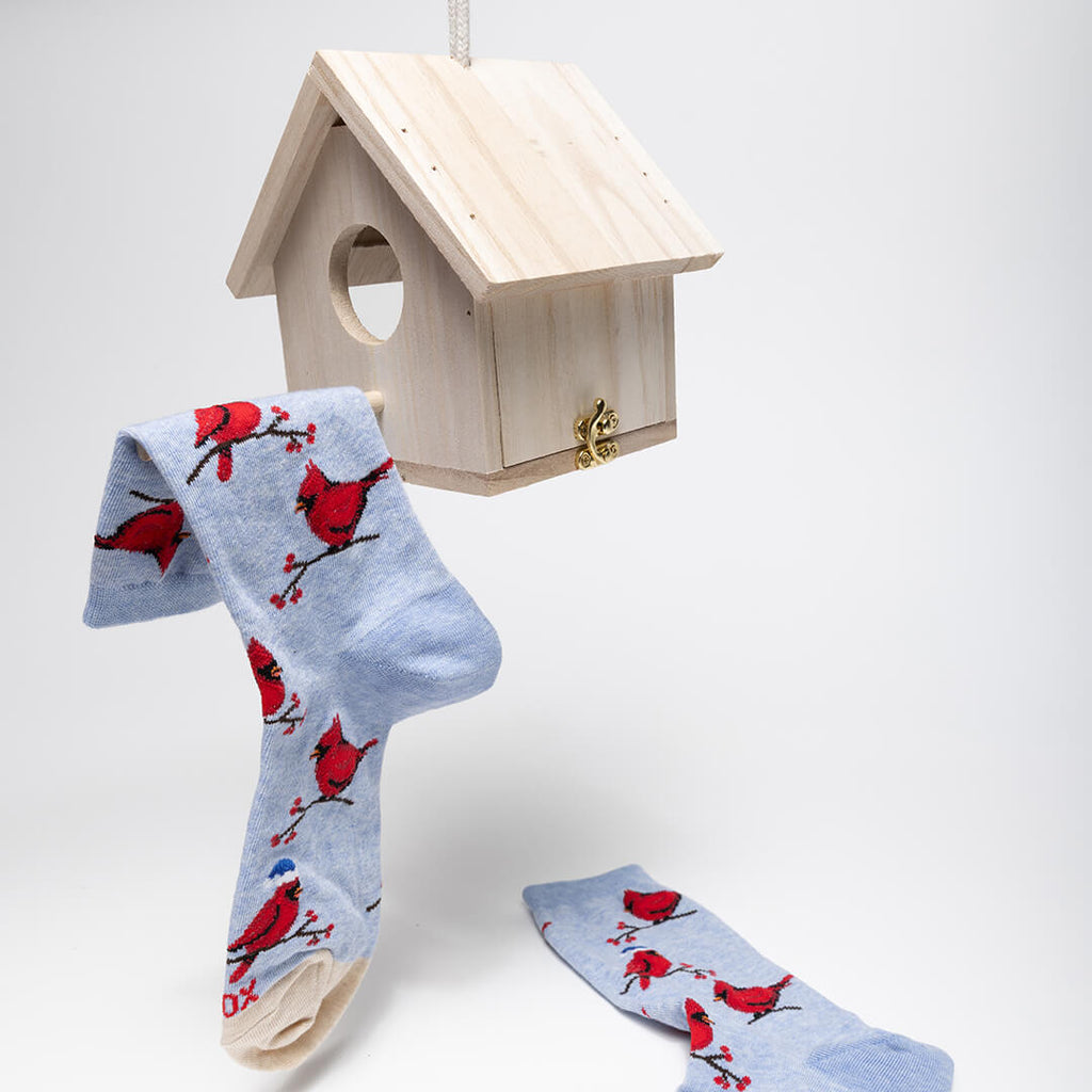 Pair of socks with red bird design hanging from a wooden birdhouse on a white background