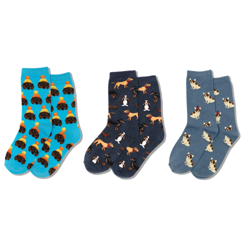 HOTSOX kids sock three pair pack featuring various patterns of different dogs, including dachshunds, basset hounds, bedlington terriers, English bulldogs and rottweilers.